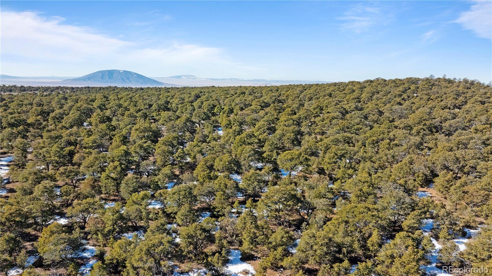 Lot 90 Elk Park Road San Luis CO 81152