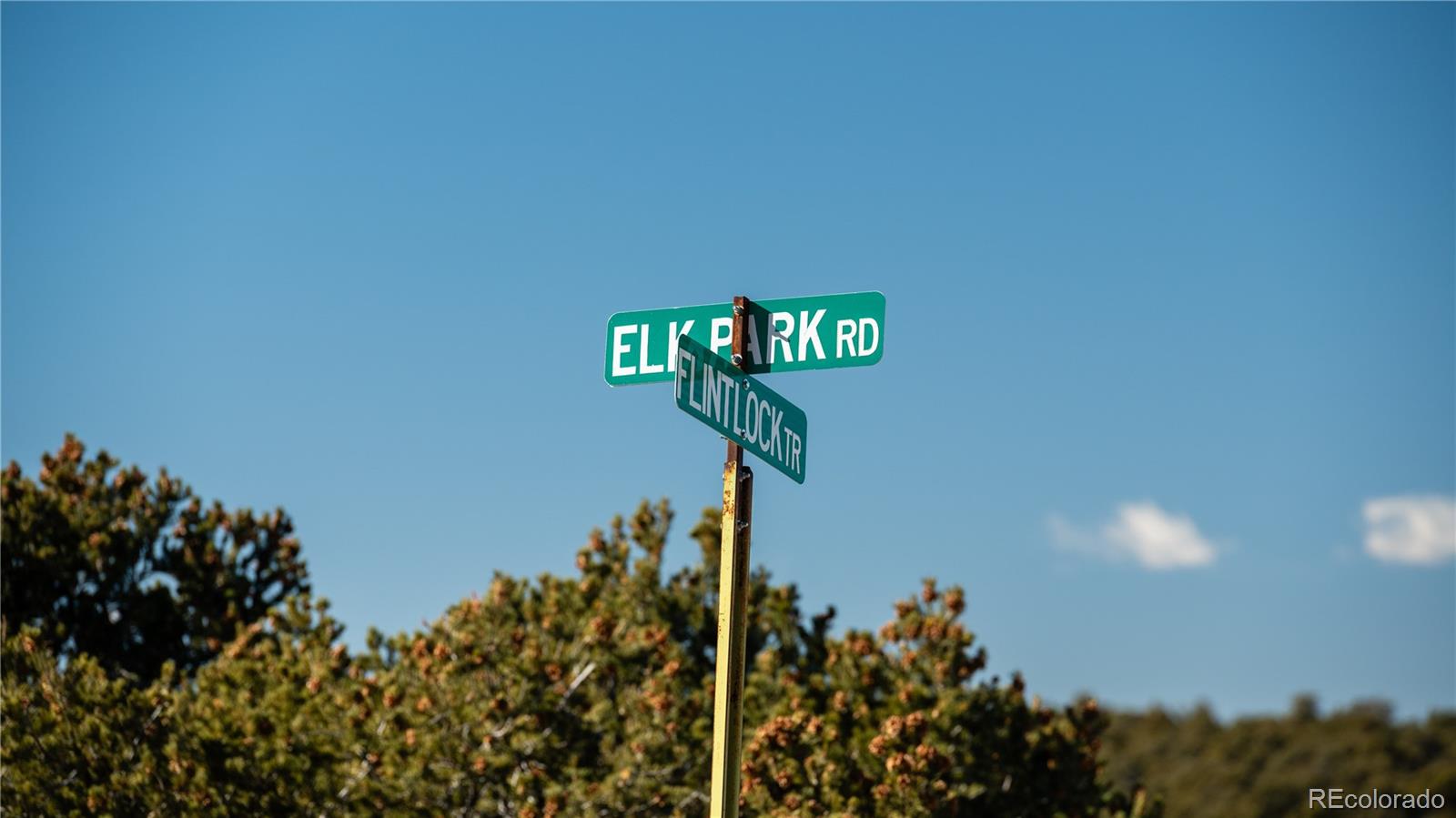 Lot 90 Elk Park Road San Luis CO 81152
