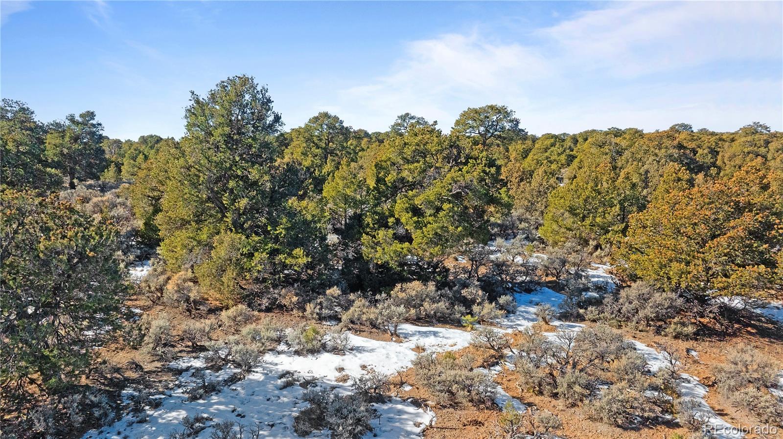 Lot 90 Elk Park Road San Luis CO 81152