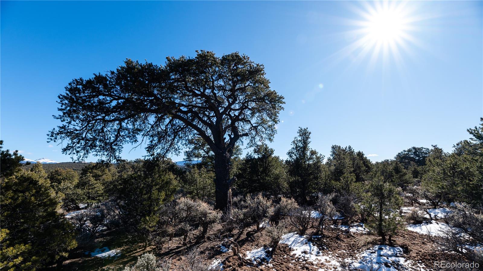 Lot 90 Elk Park Road San Luis CO 81152