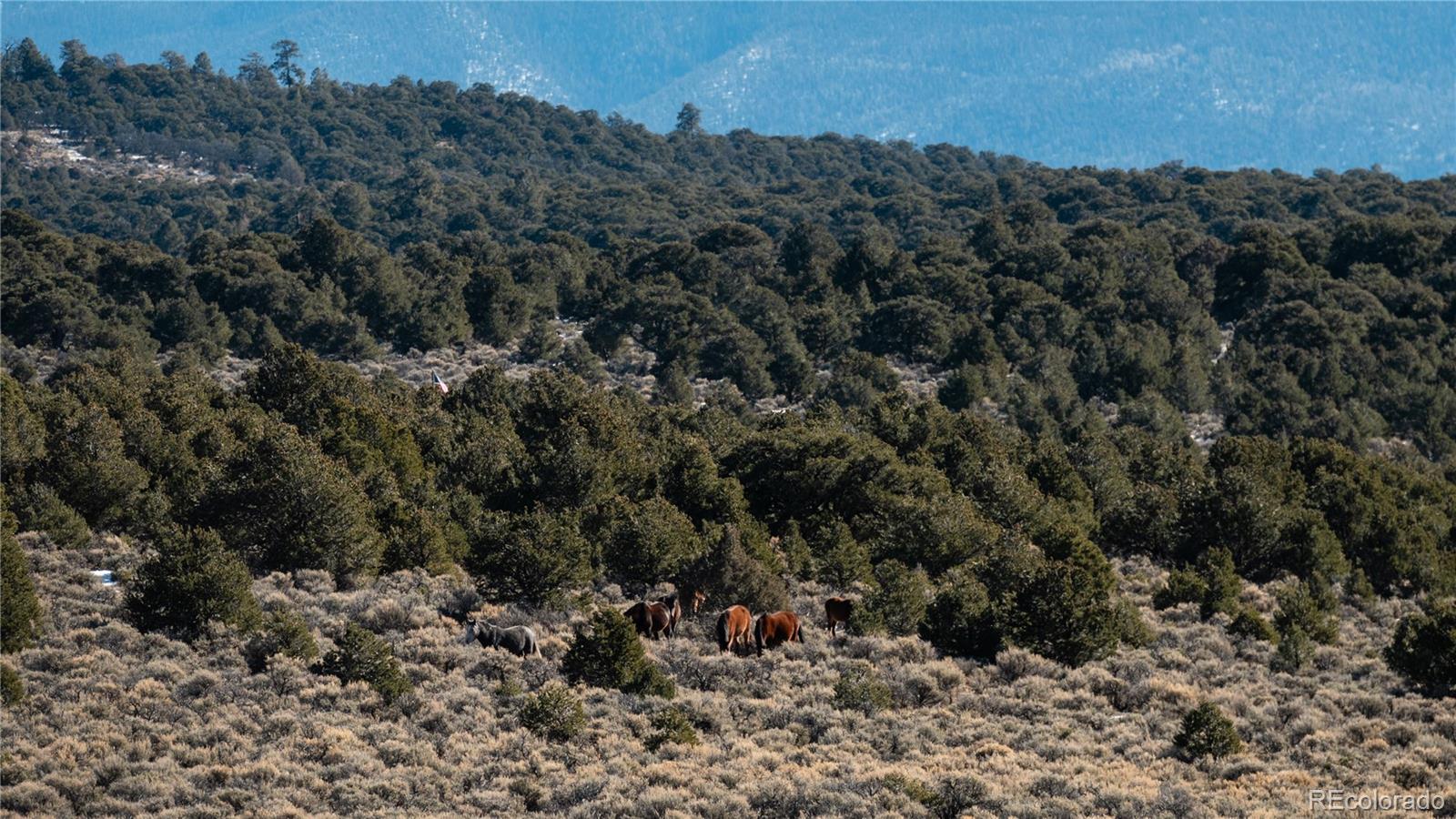 Lot 90 Elk Park Road San Luis CO 81152