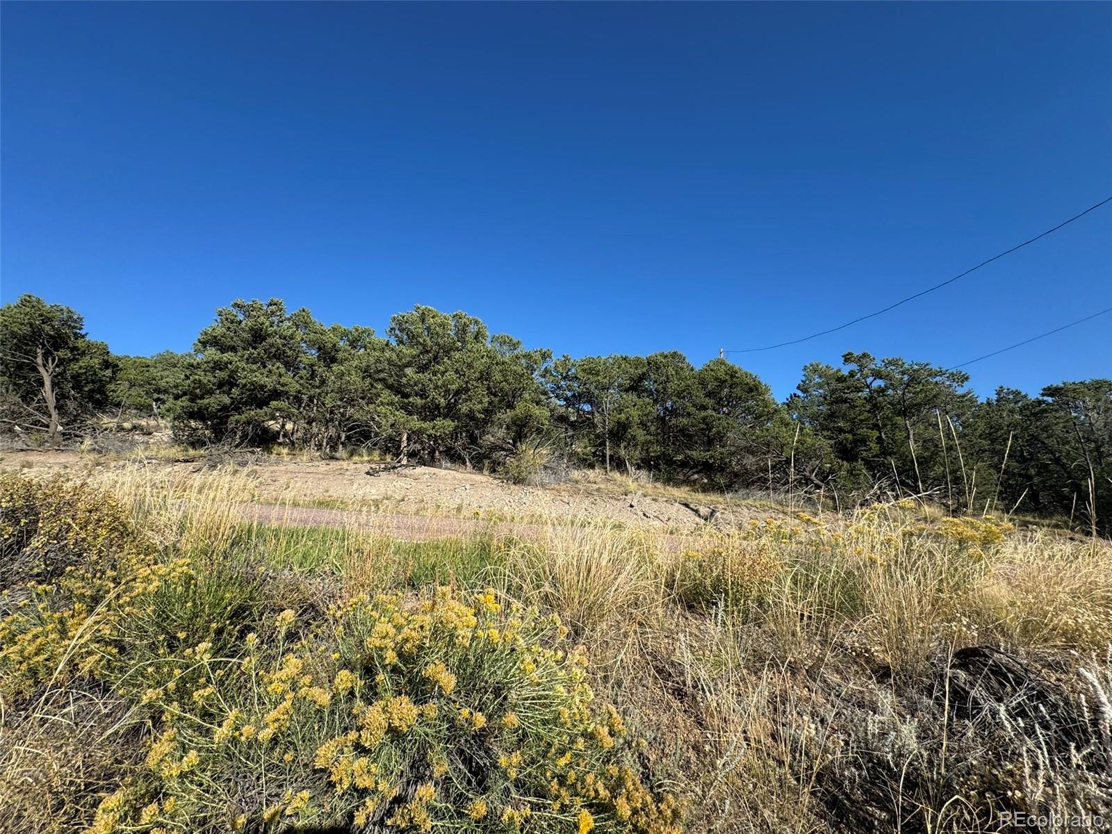 Lot 50 Copper Gultch Road Cotopaxi CO 81223
