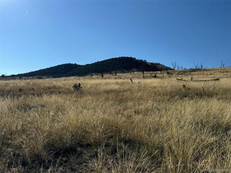 Lot 50 Copper Gultch Road Cotopaxi CO 81223