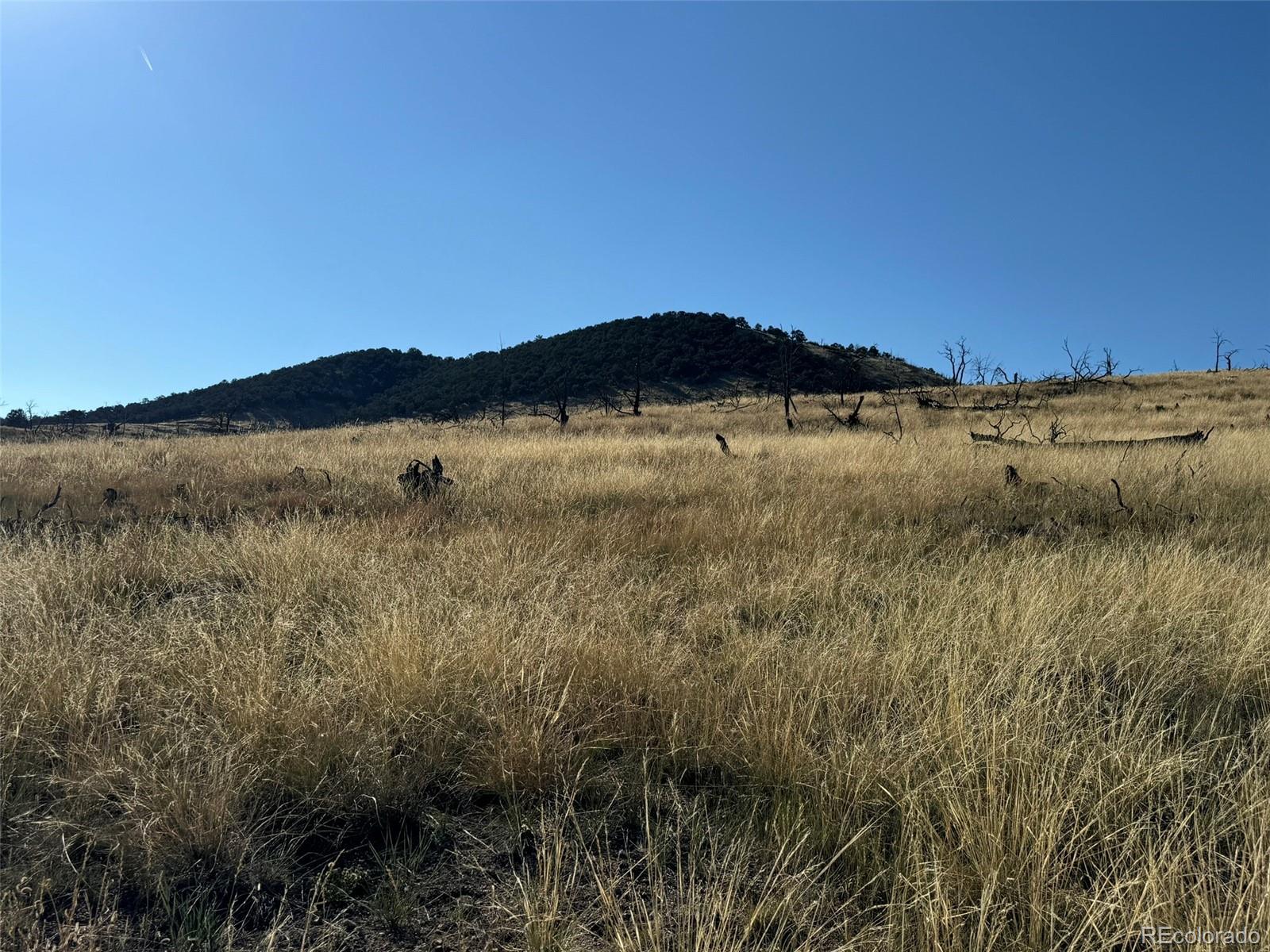 Lot 50 Copper Gultch Road Cotopaxi CO 81223