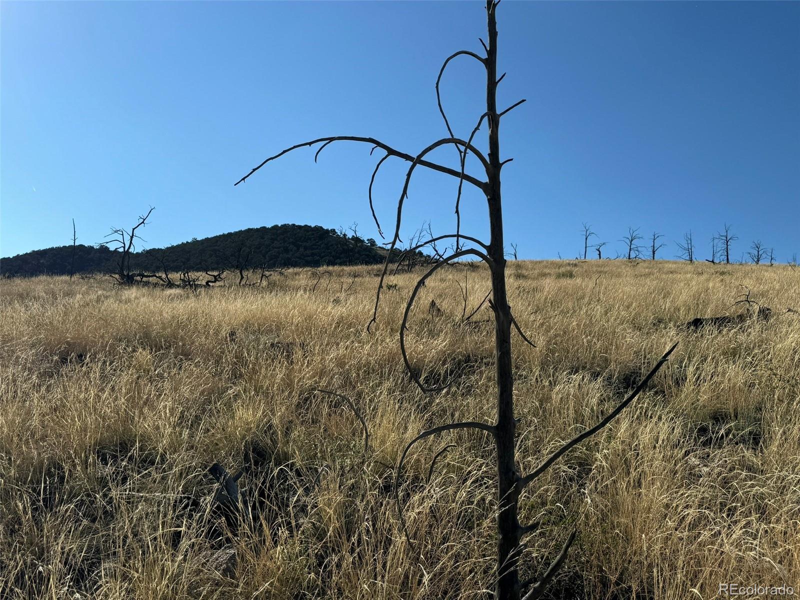 Lot 50 Copper Gultch Road Cotopaxi CO 81223