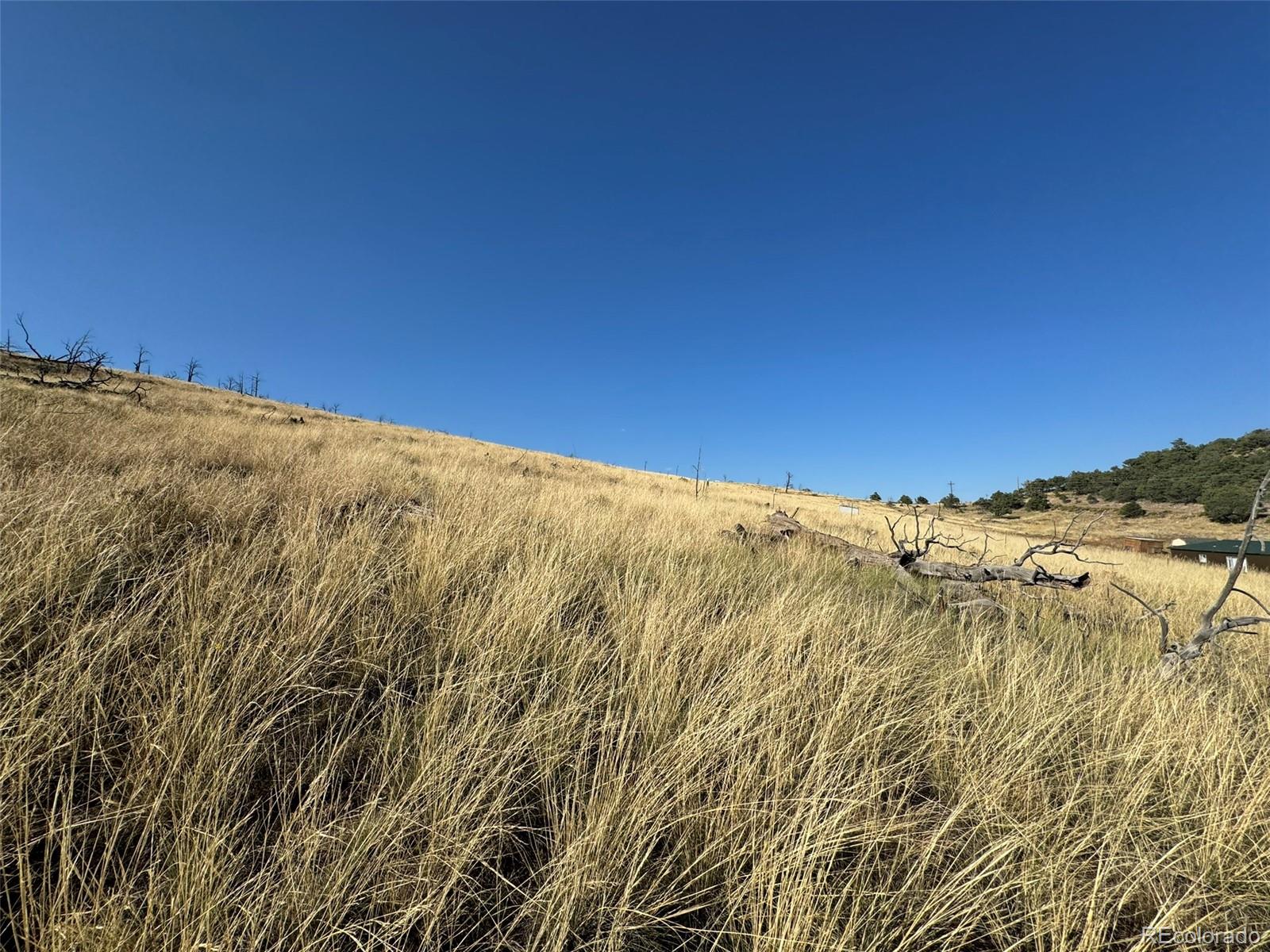 Lot 50 Copper Gultch Road Cotopaxi CO 81223