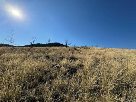 Lot 50 Copper Gultch Road Cotopaxi CO 81223