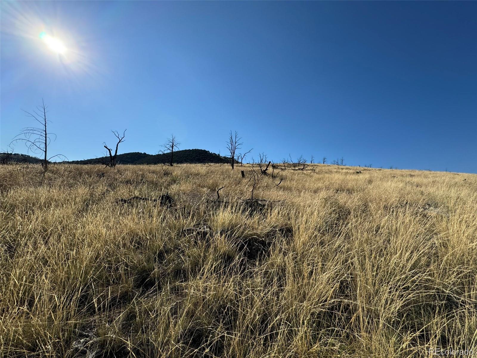 Lot 50 Copper Gultch Road Cotopaxi CO 81223