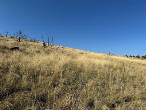 Lot 50 Copper Gultch Road Cotopaxi CO 81223