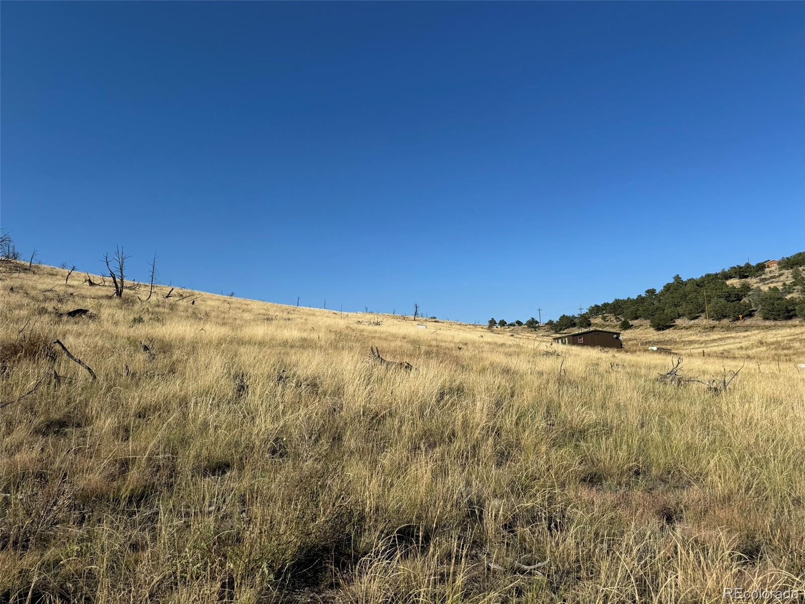 Lot 50 Copper Gultch Road Cotopaxi CO 81223
