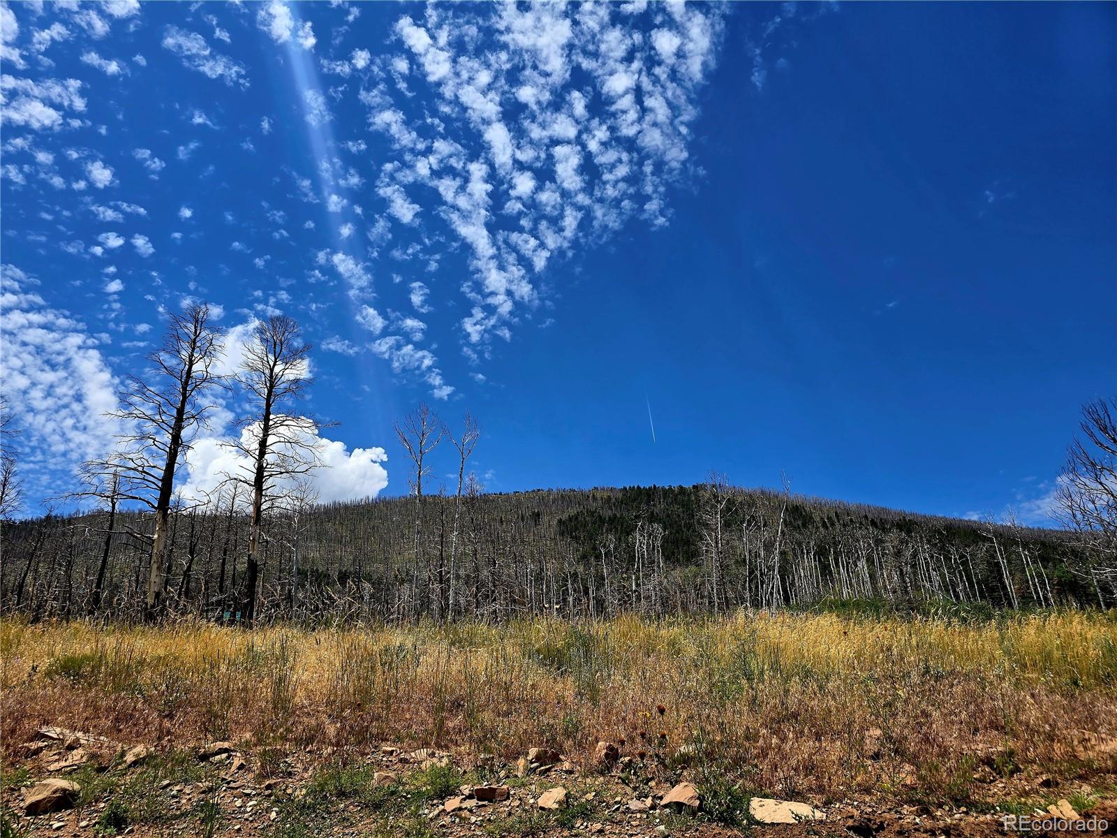 Lot 2057 Forbes Park Road Fort Garland CO 81133
