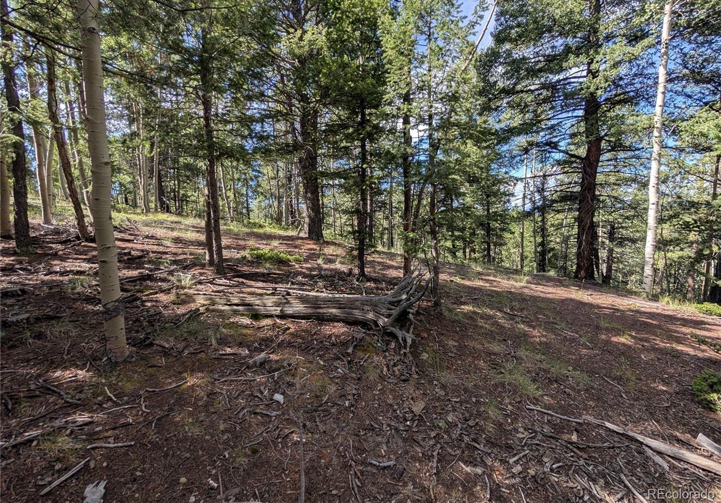 60 Fluorite Lane Divide CO 80814