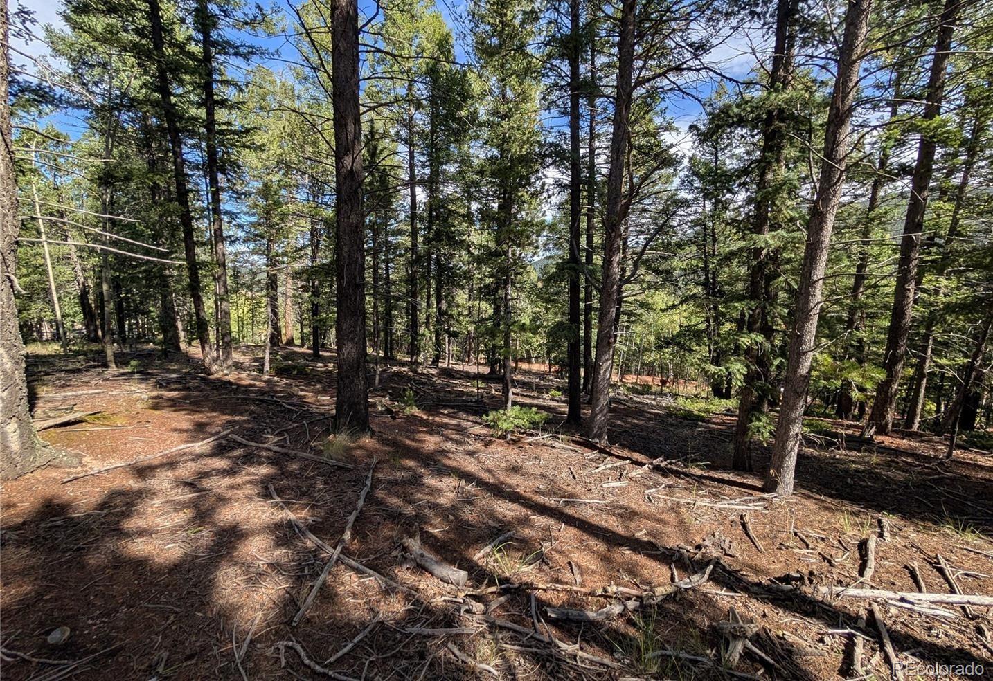 60 Fluorite Lane Divide CO 80814
