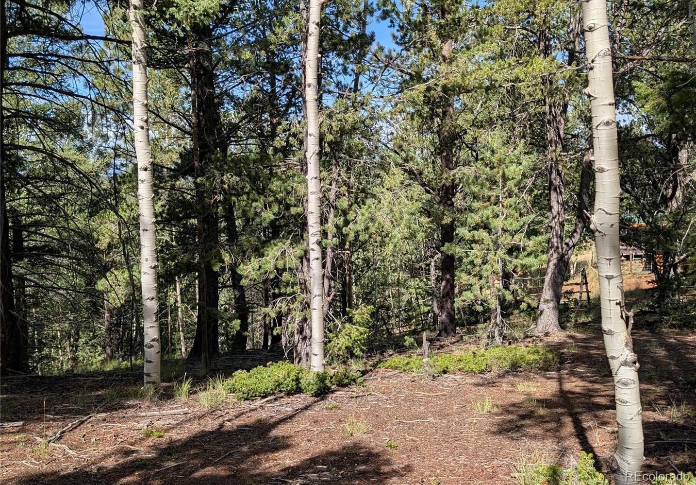 60 Fluorite Lane Divide CO 80814