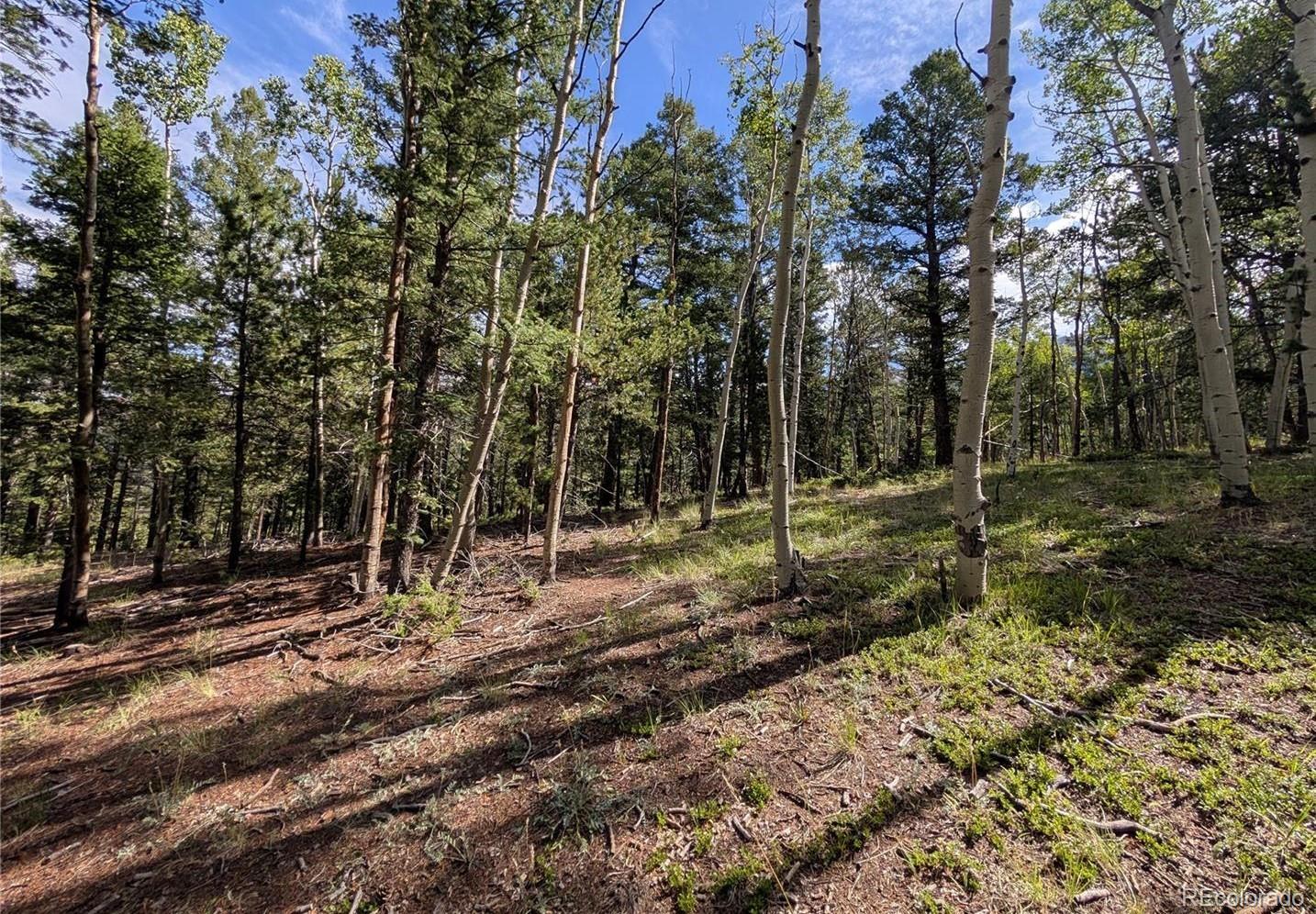 60 Fluorite Lane Divide CO 80814
