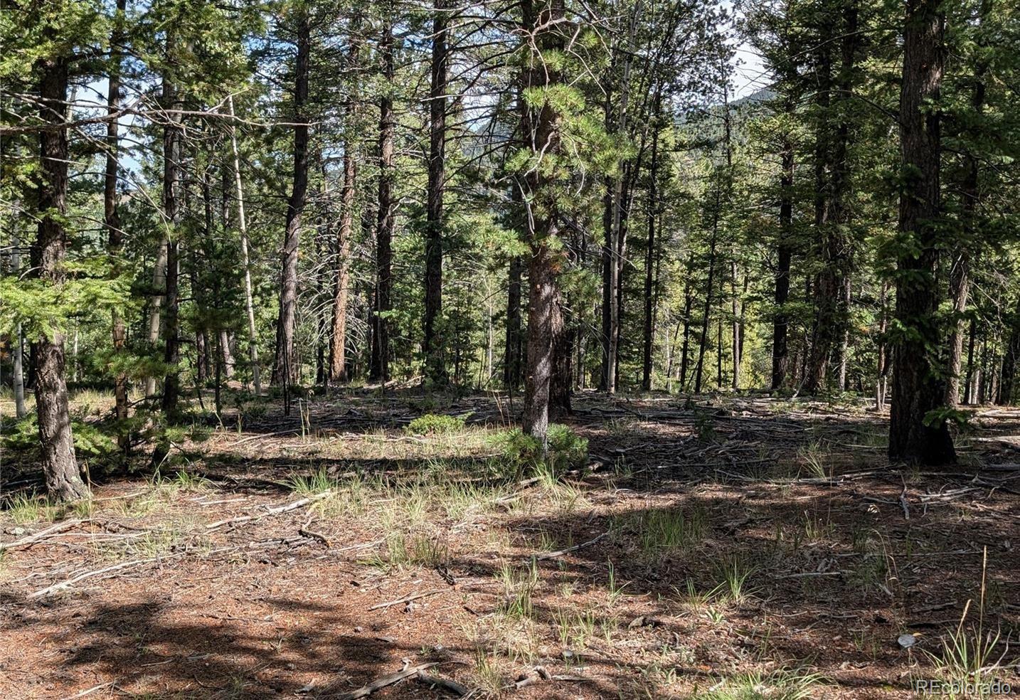 60 Fluorite Lane Divide CO 80814