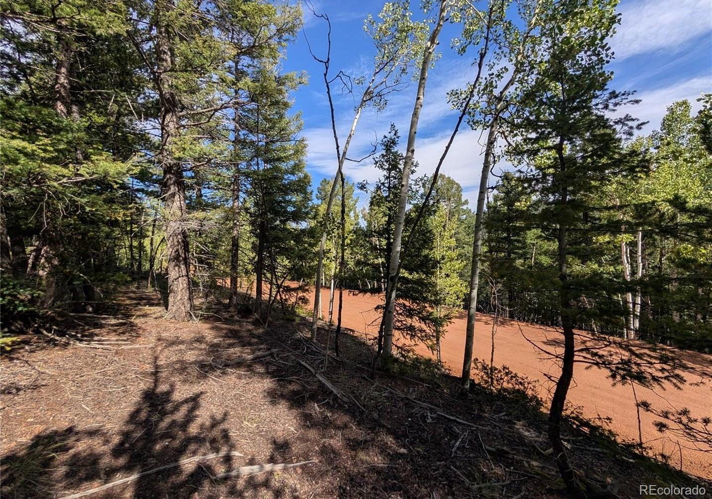 60 Fluorite Lane Divide CO 80814