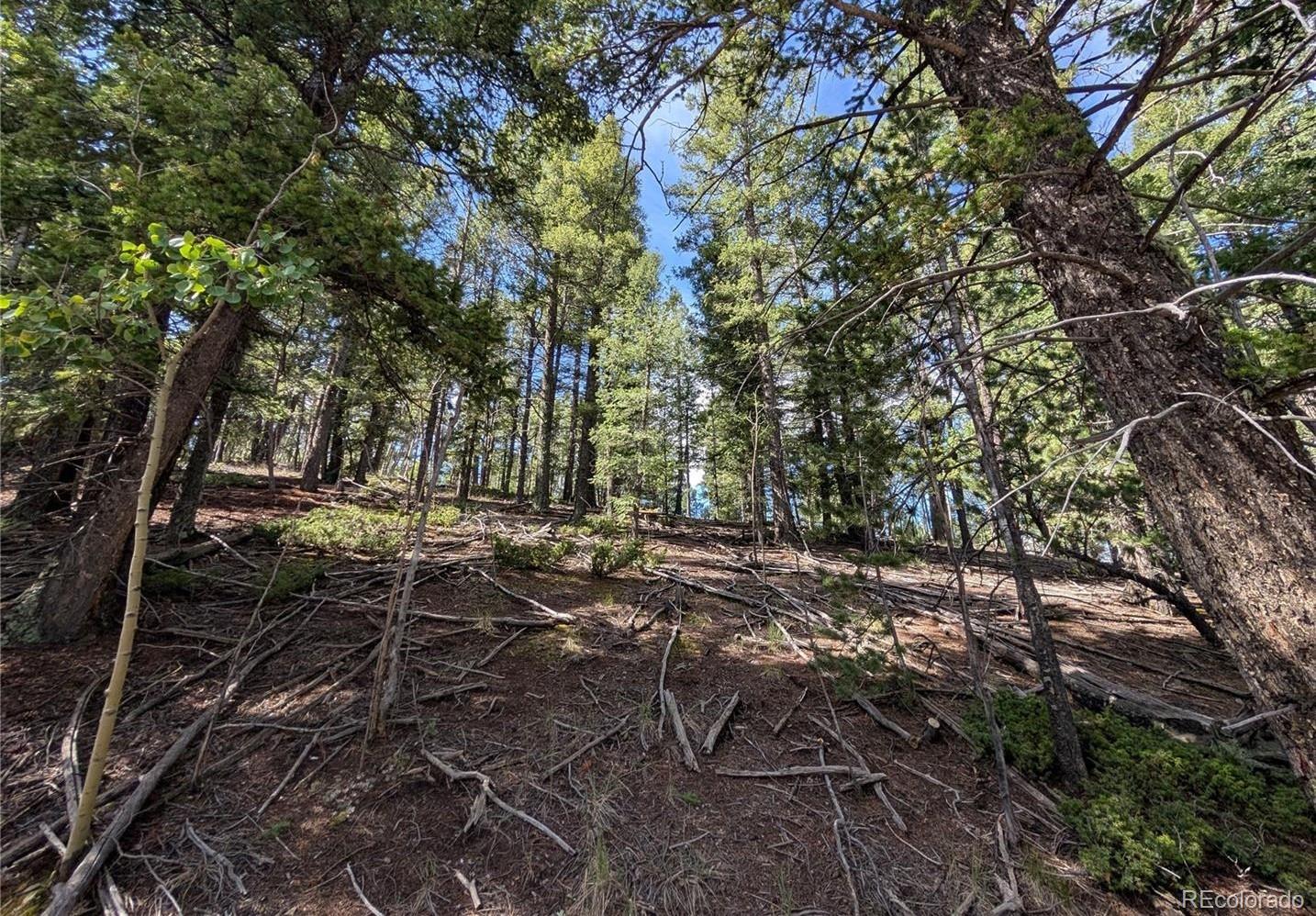 60 Fluorite Lane Divide CO 80814