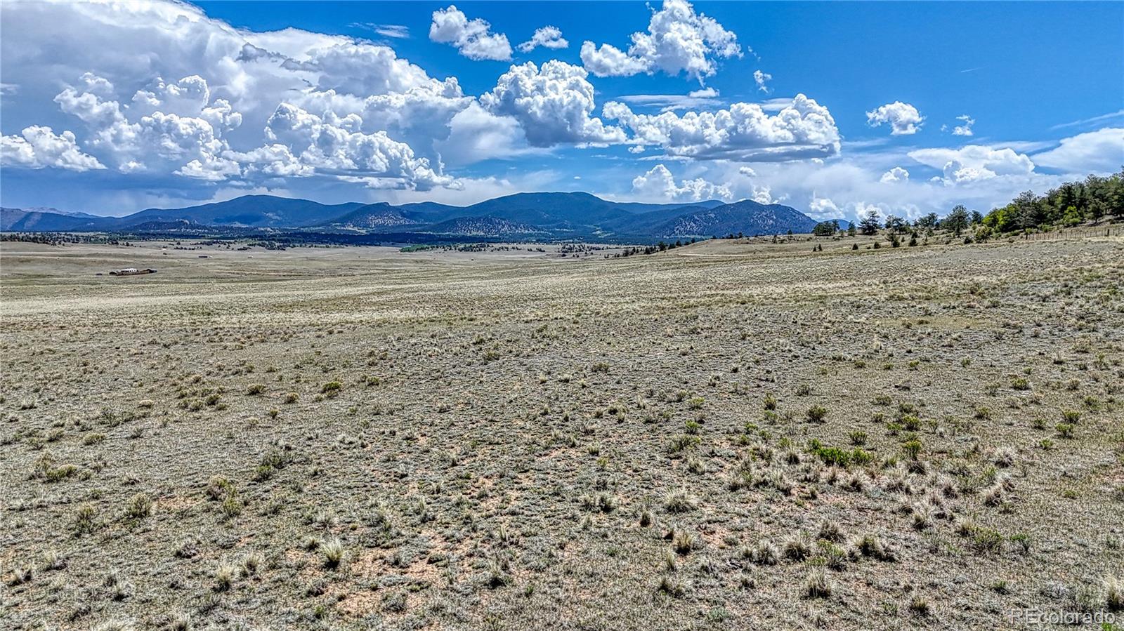 4332 Goldenburg Canyon Road Hartsel CO 80449