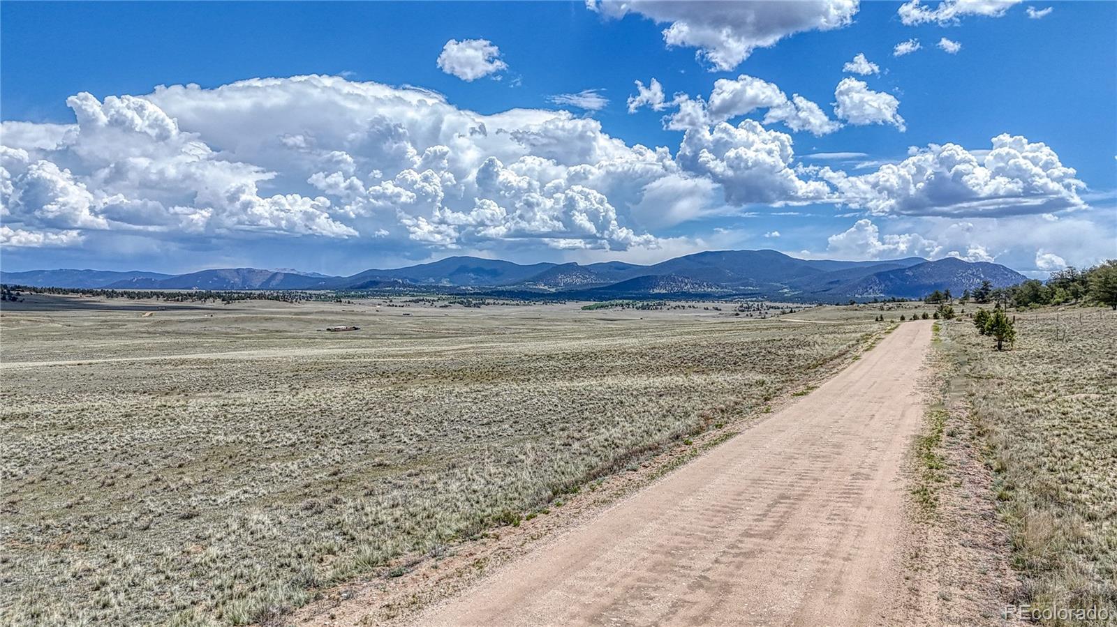 4332 Goldenburg Canyon Road Hartsel CO 80449
