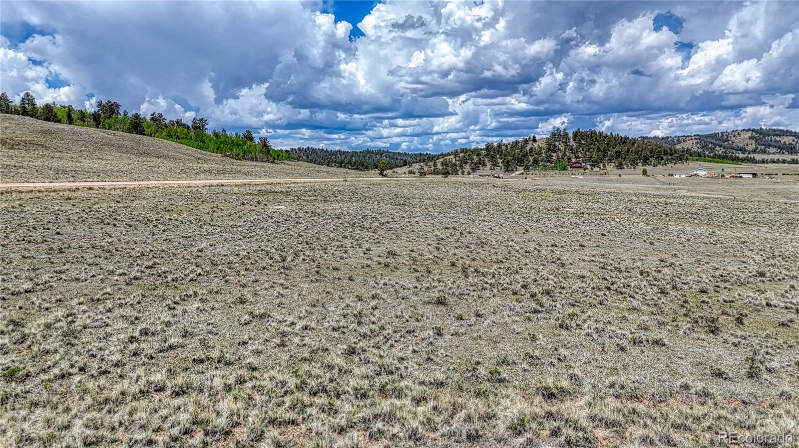 4332 Goldenburg Canyon Road Hartsel CO 80449
