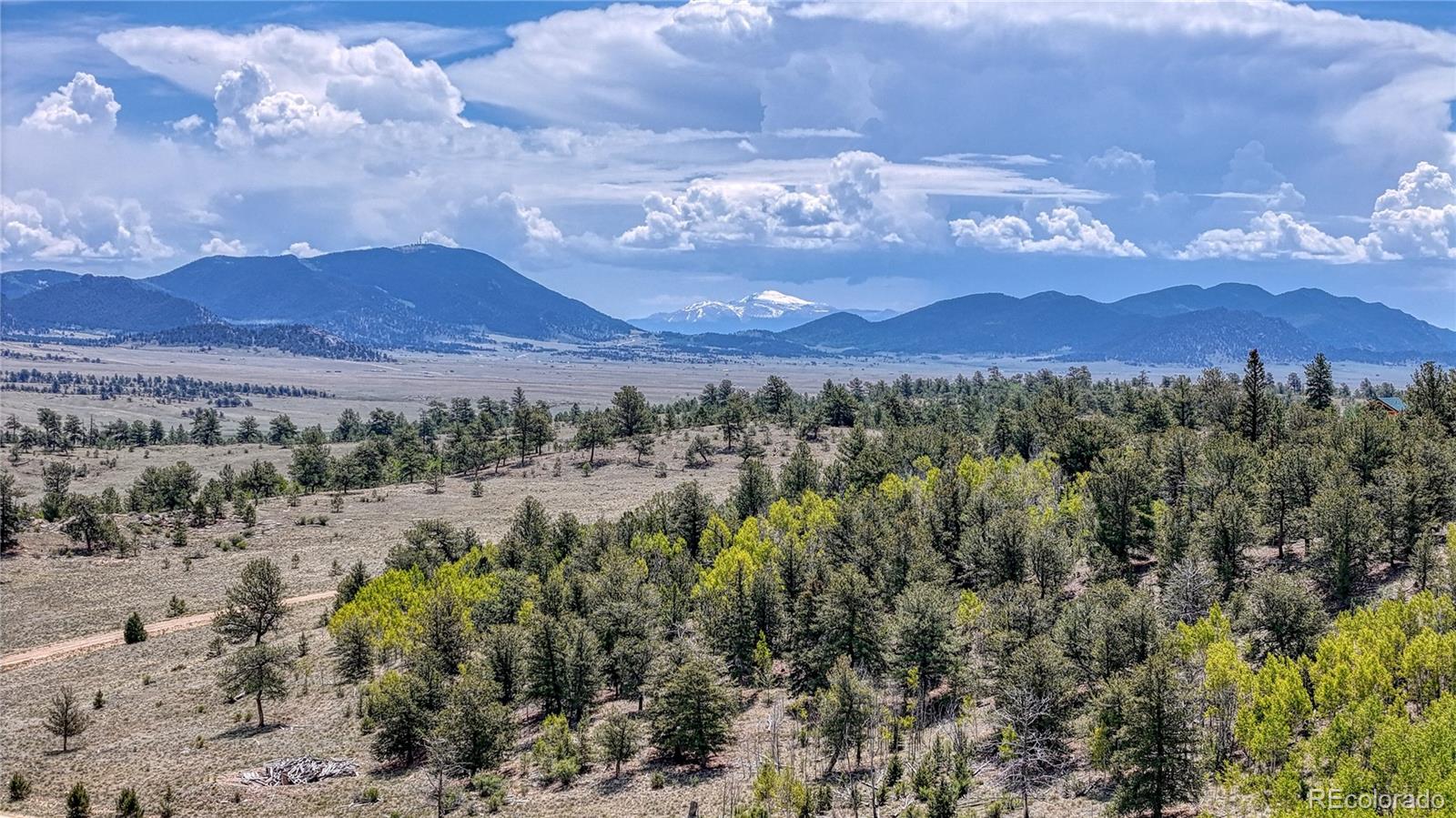 4332 Goldenburg Canyon Road Hartsel CO 80449