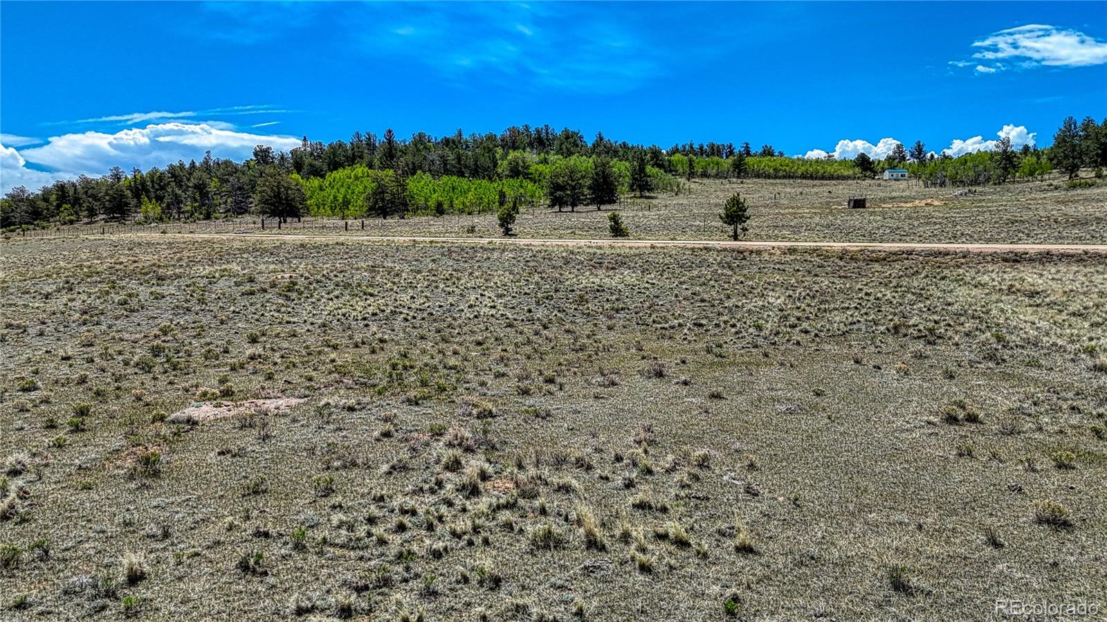 4332 Goldenburg Canyon Road Hartsel CO 80449