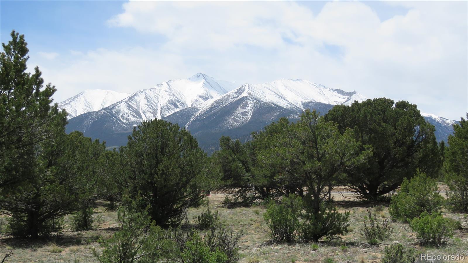 28924 Timber Ridge Buena Vista CO 81211