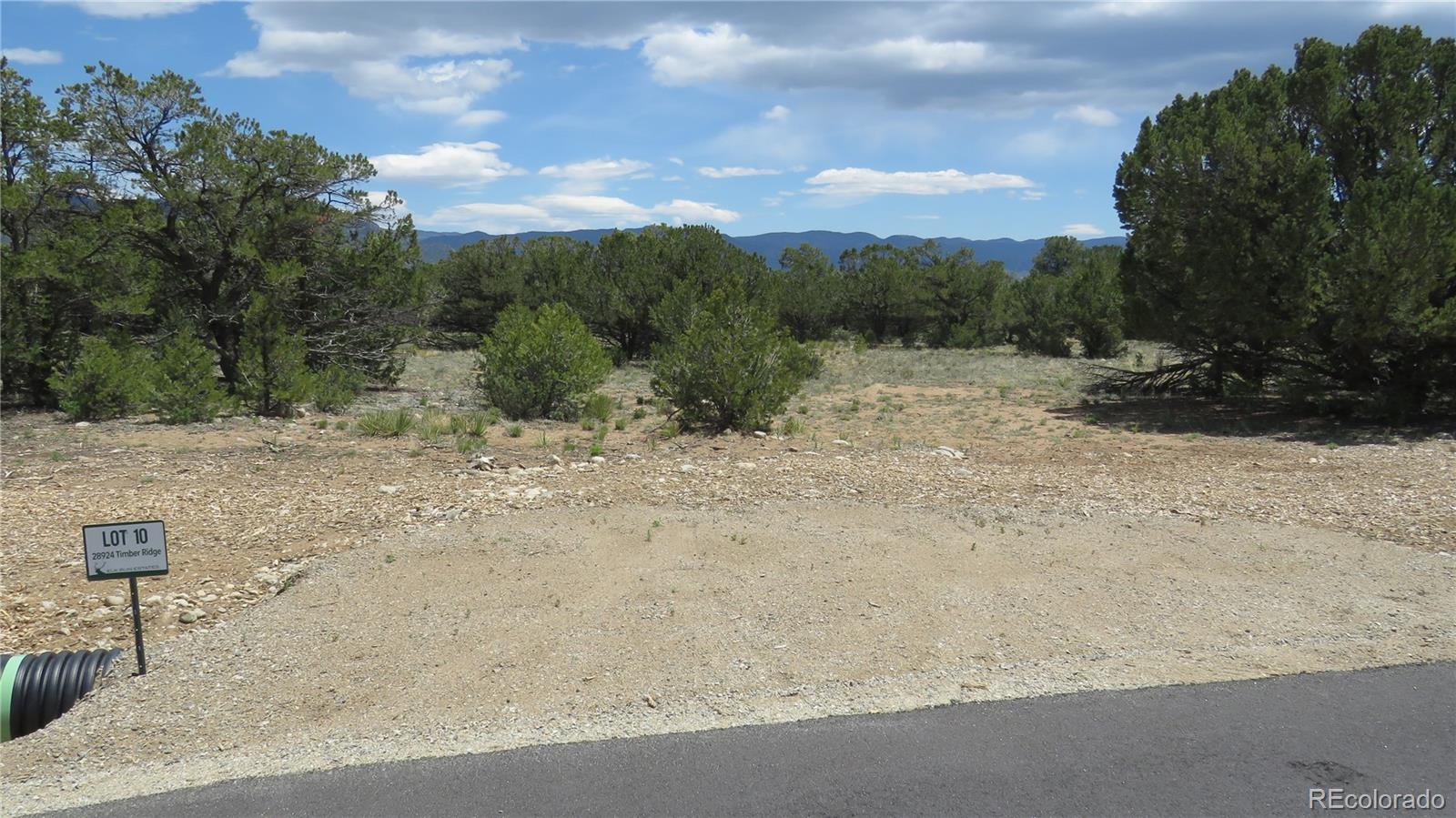 28924 Timber Ridge Buena Vista CO 81211