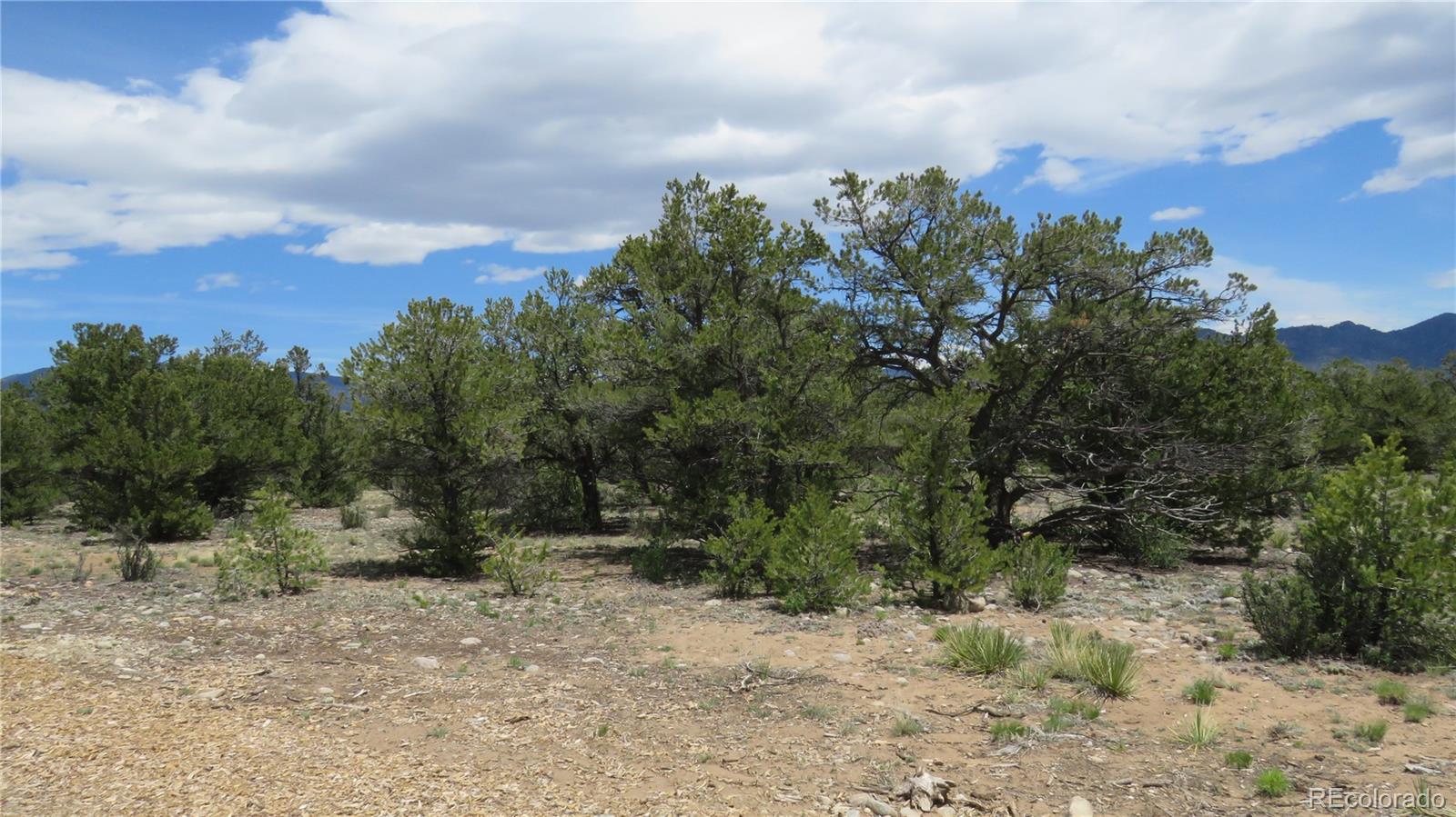 28924 Timber Ridge Buena Vista CO 81211