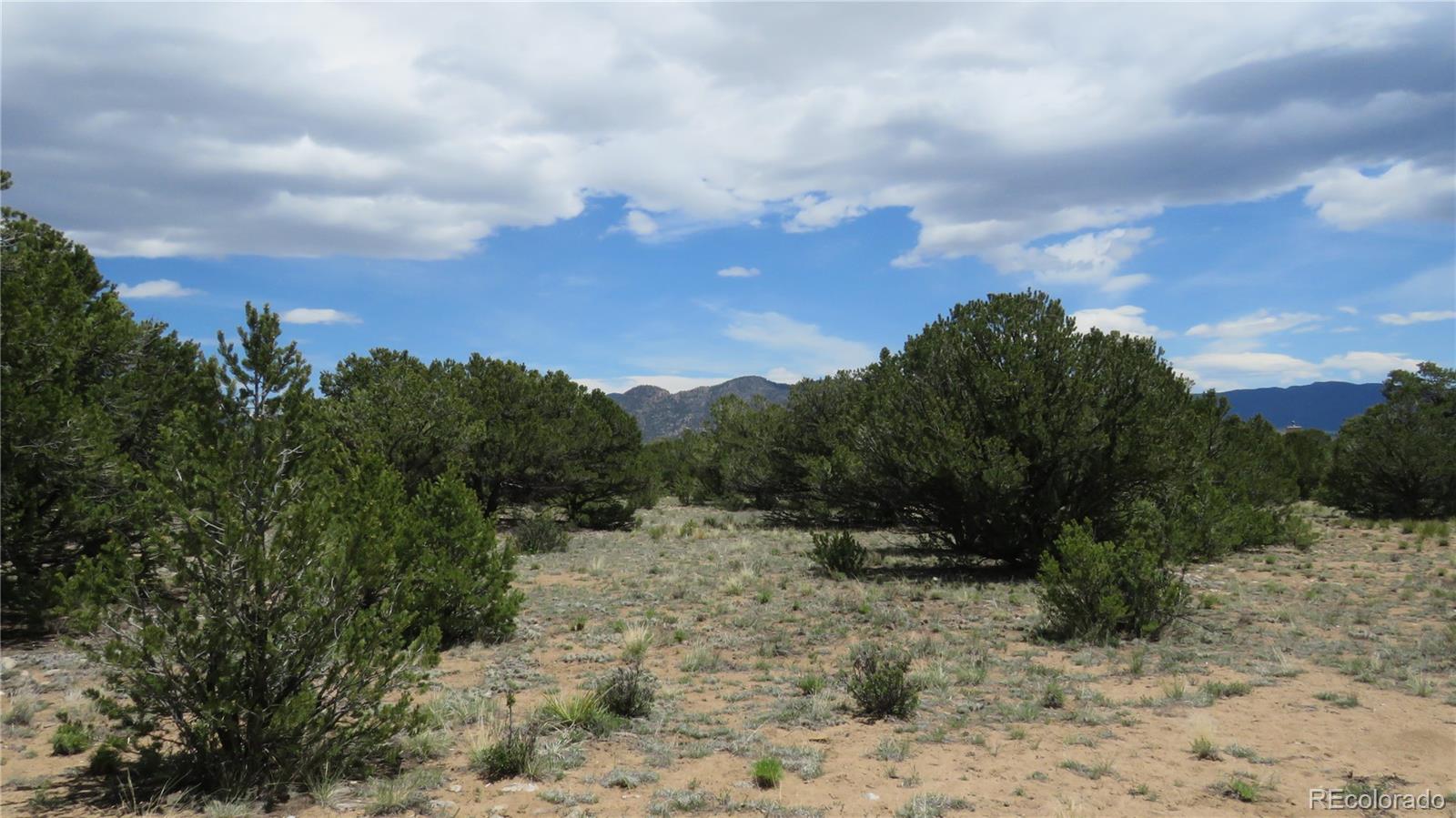 28924 Timber Ridge Buena Vista CO 81211