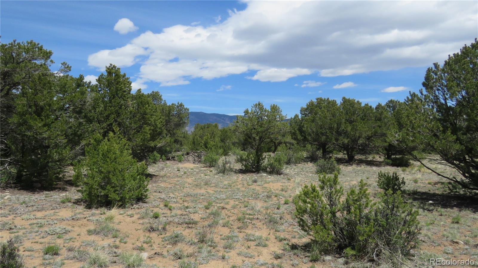 28924 Timber Ridge Buena Vista CO 81211