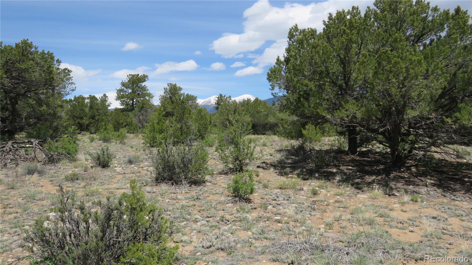 28924 Timber Ridge Buena Vista CO 81211