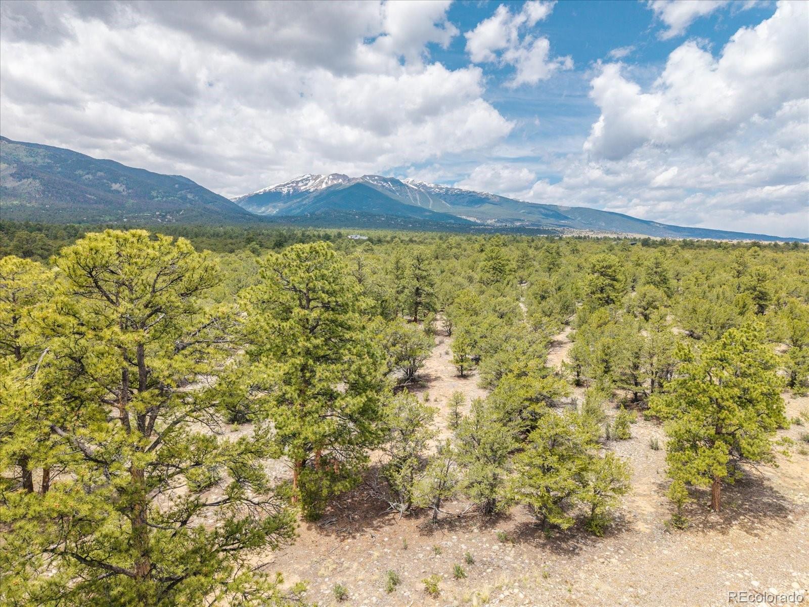 28924 Timber Ridge Buena Vista CO 81211