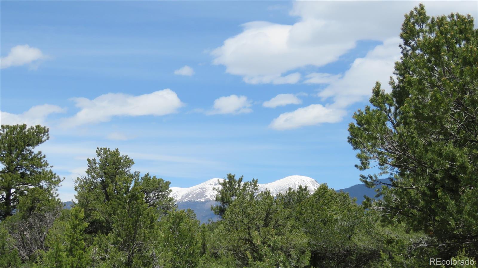 28924 Timber Ridge Buena Vista CO 81211
