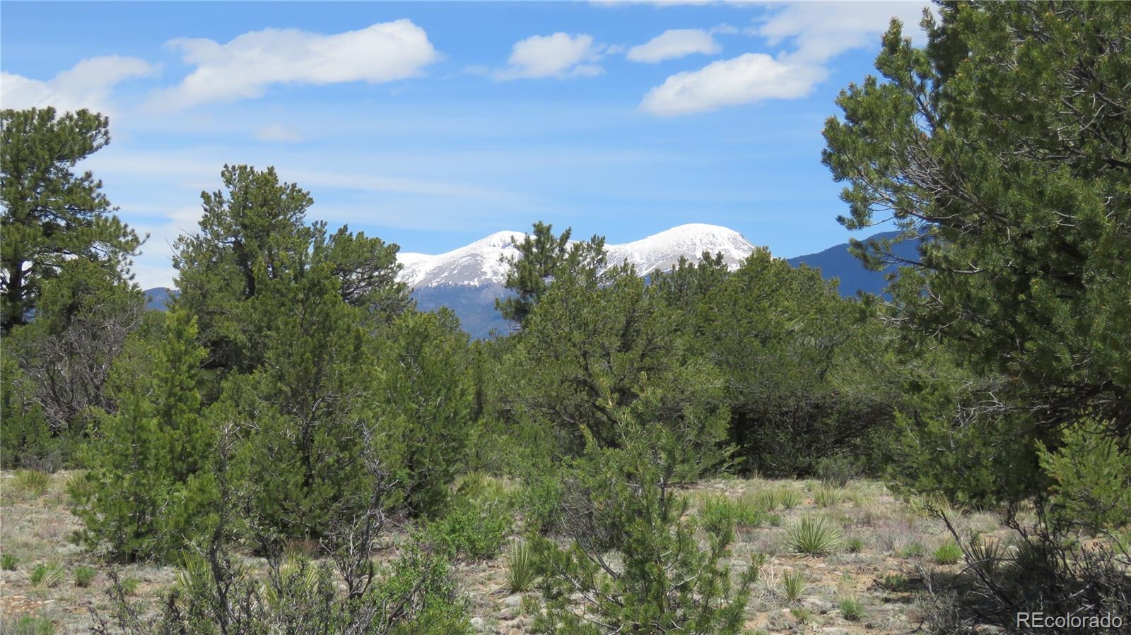 28924 Timber Ridge Buena Vista CO 81211