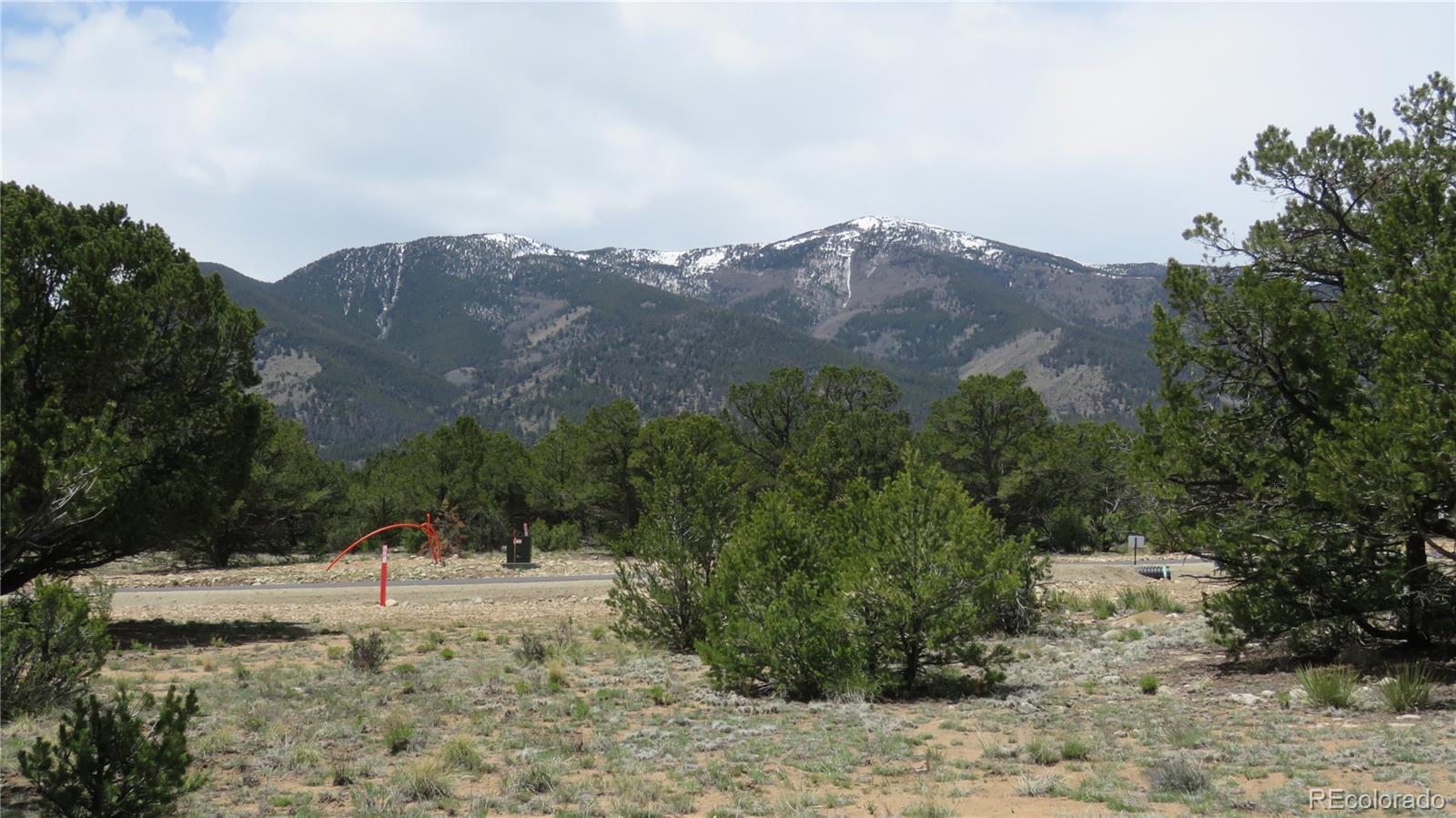 28924 Timber Ridge Buena Vista CO 81211