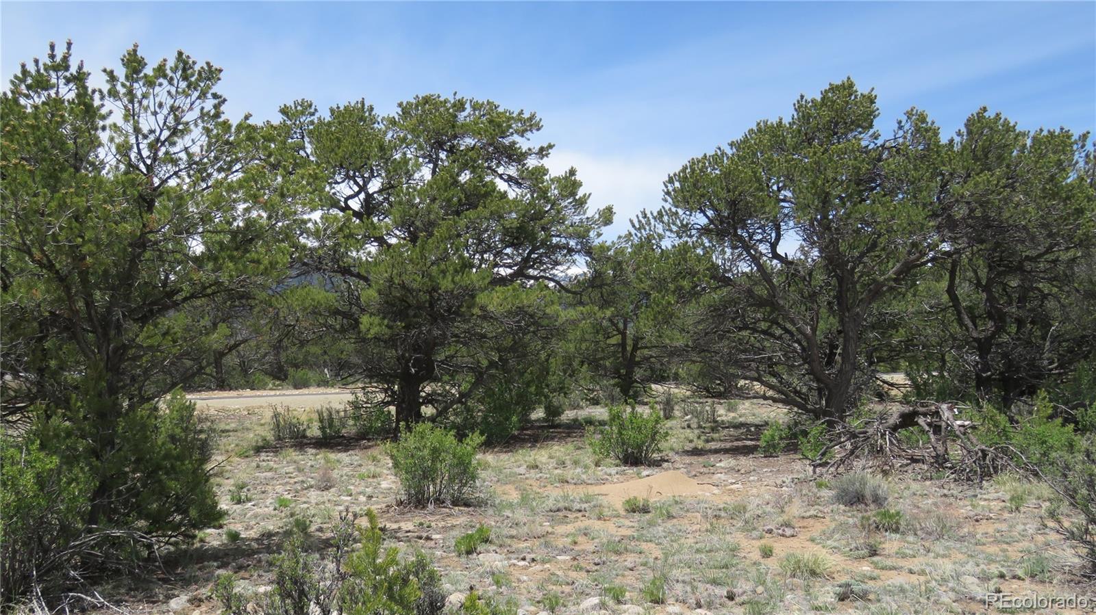 28924 Timber Ridge Buena Vista CO 81211