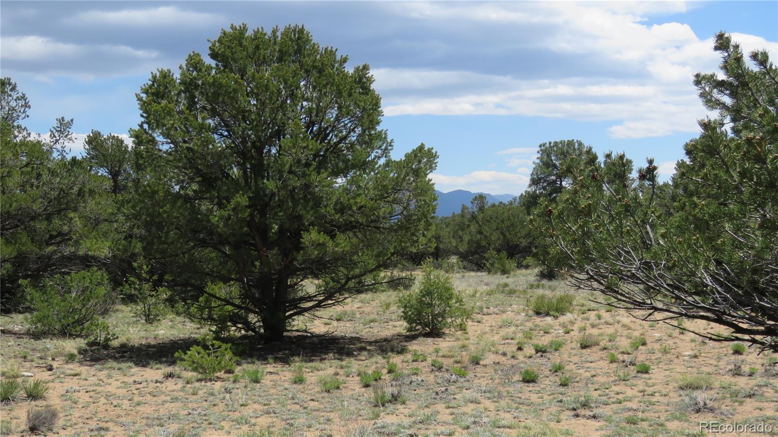 28924 Timber Ridge Buena Vista CO 81211