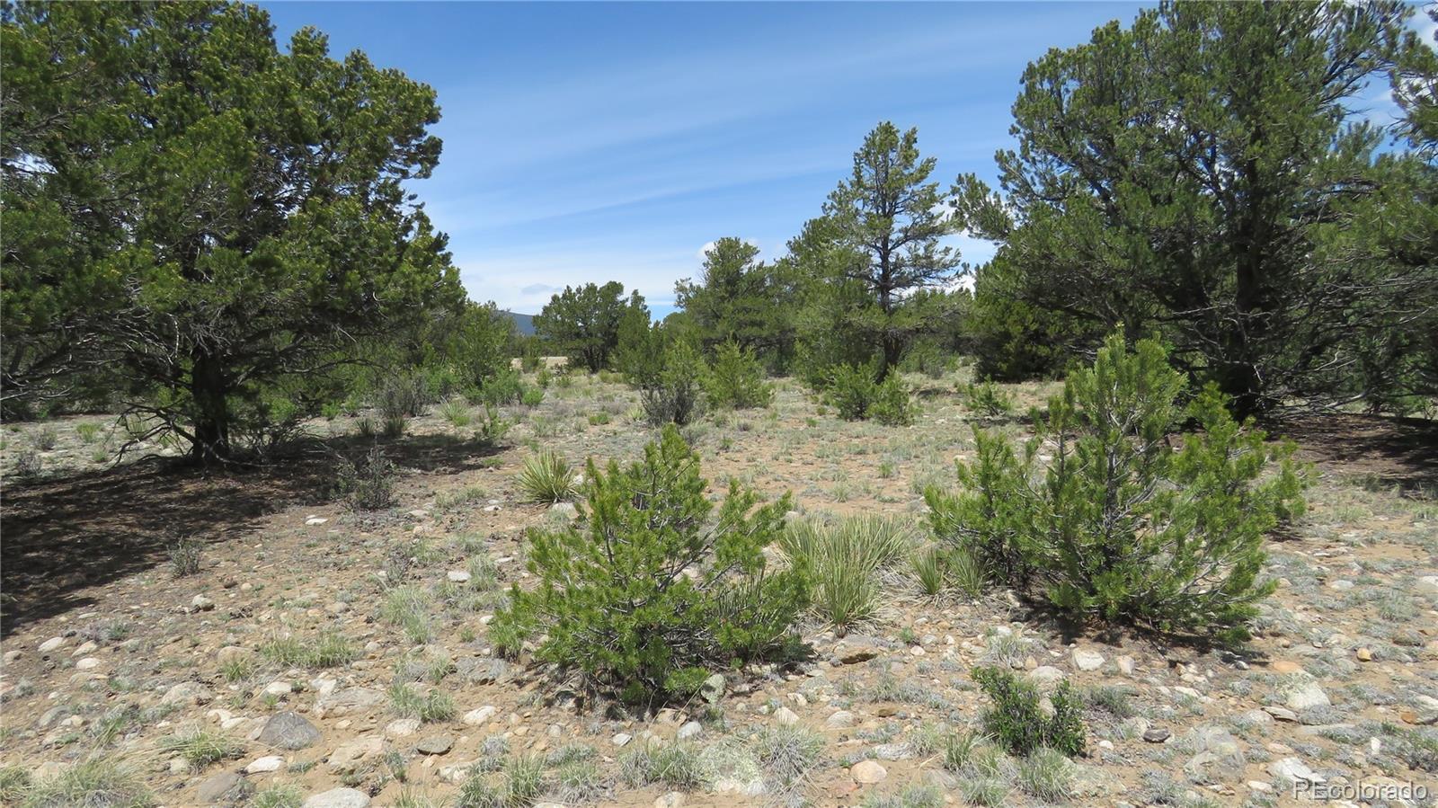 28924 Timber Ridge Buena Vista CO 81211