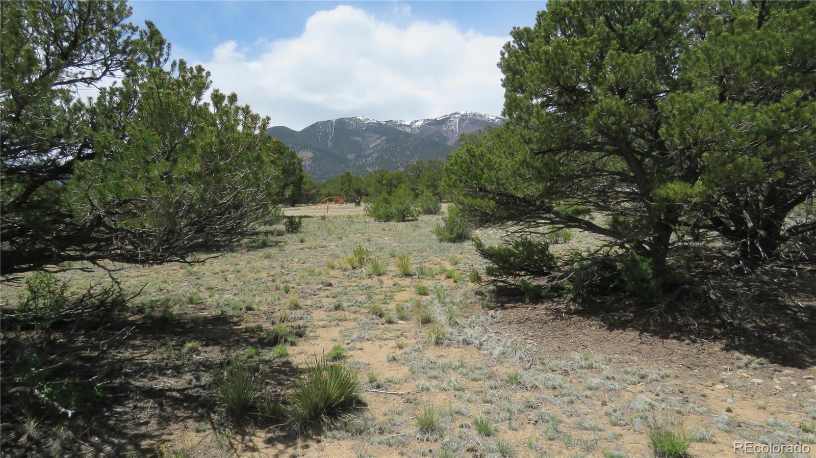 28924 Timber Ridge Buena Vista CO 81211
