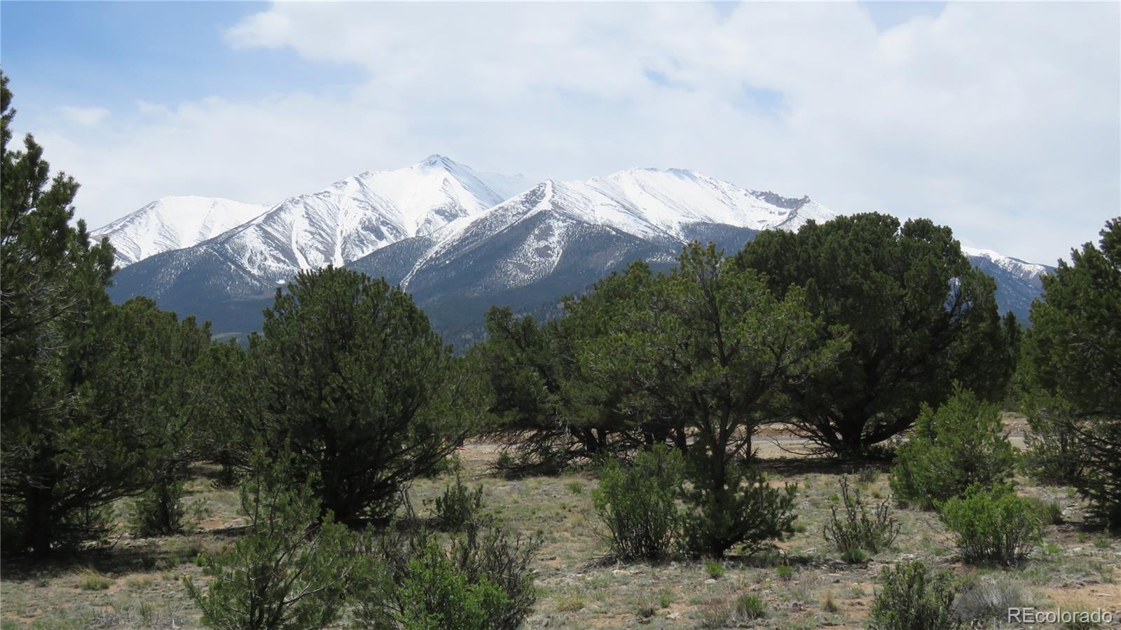 28924 Timber Ridge Buena Vista CO 81211