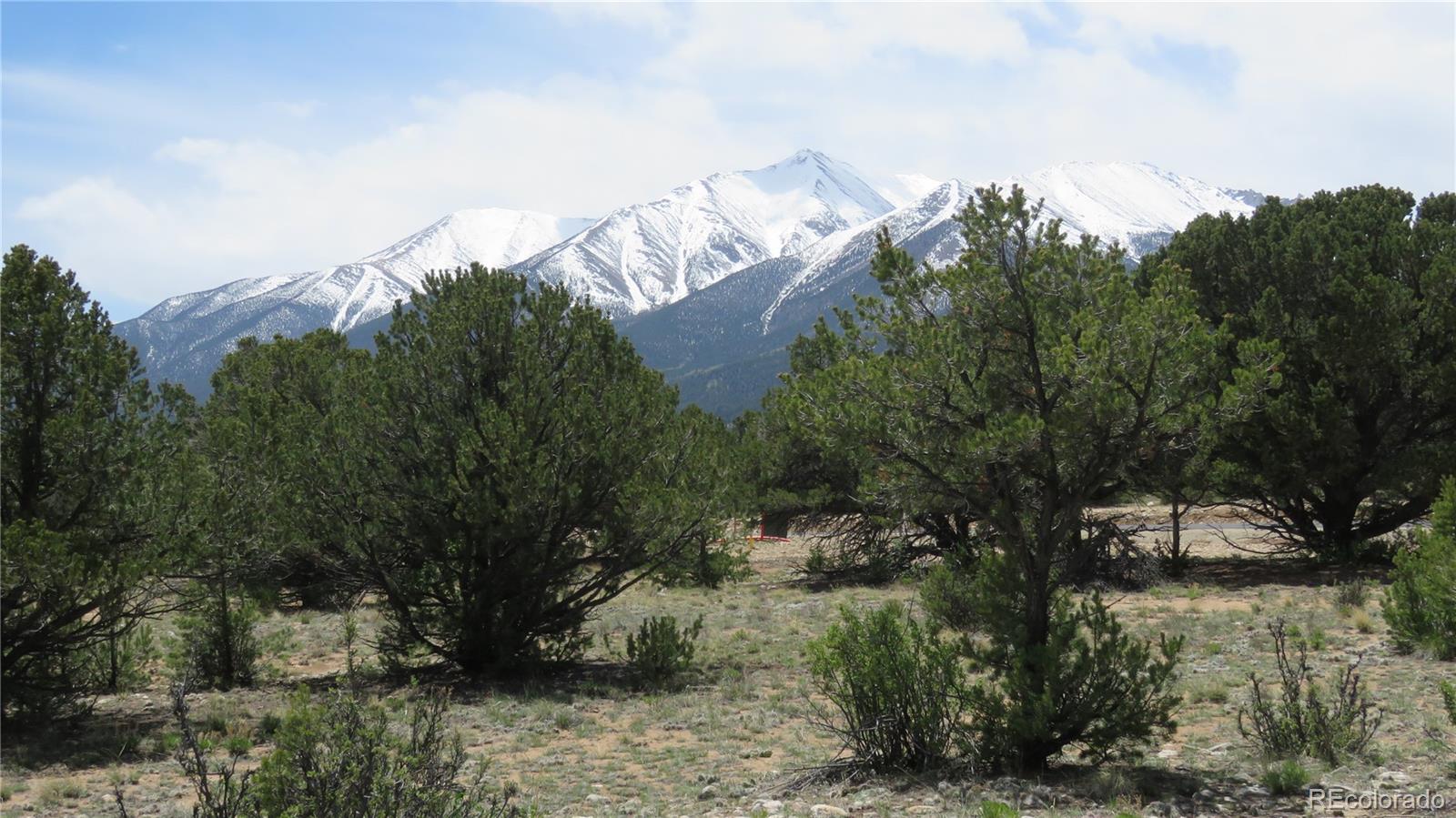 28924 Timber Ridge Buena Vista CO 81211