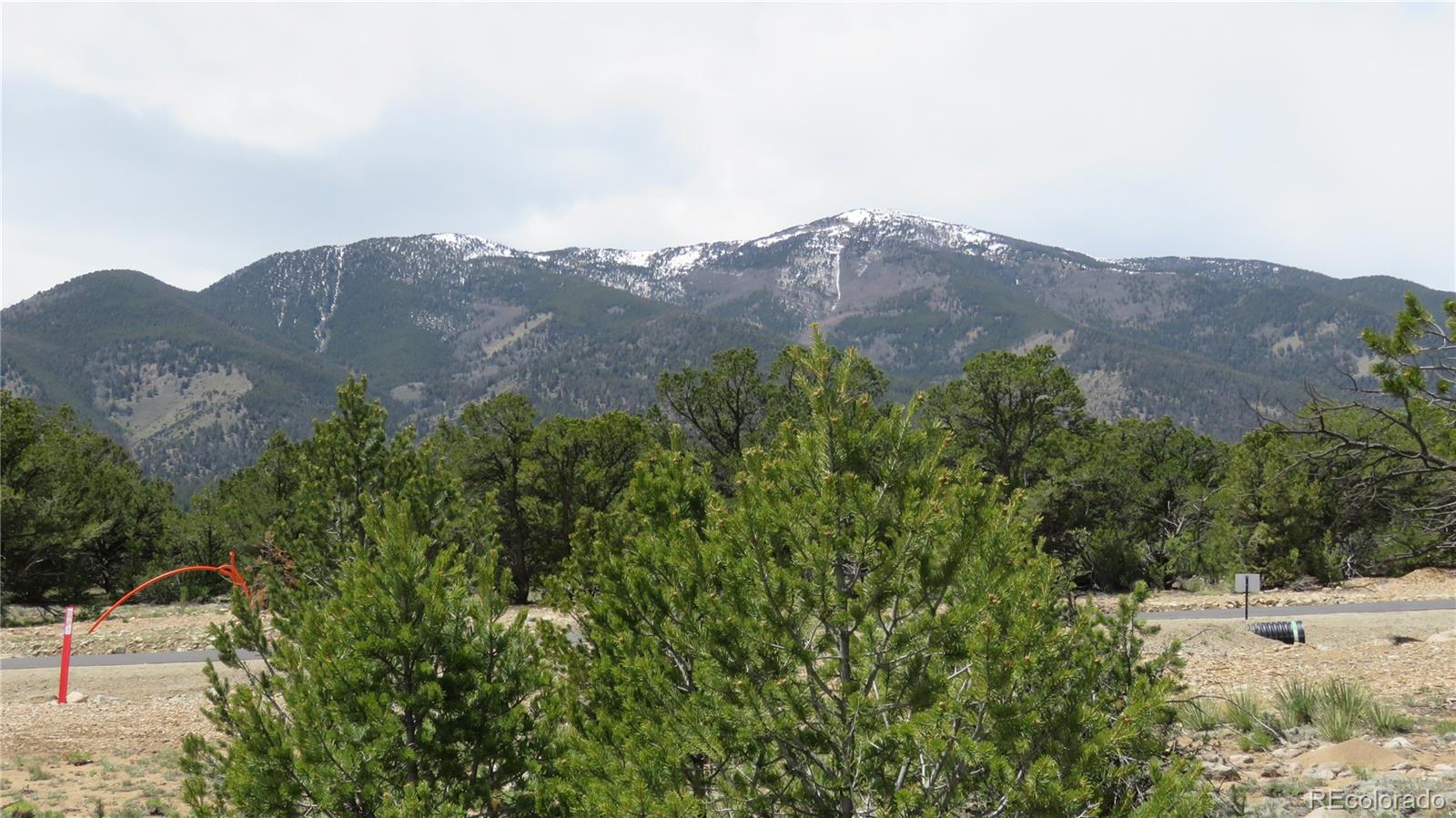 28924 Timber Ridge Buena Vista CO 81211