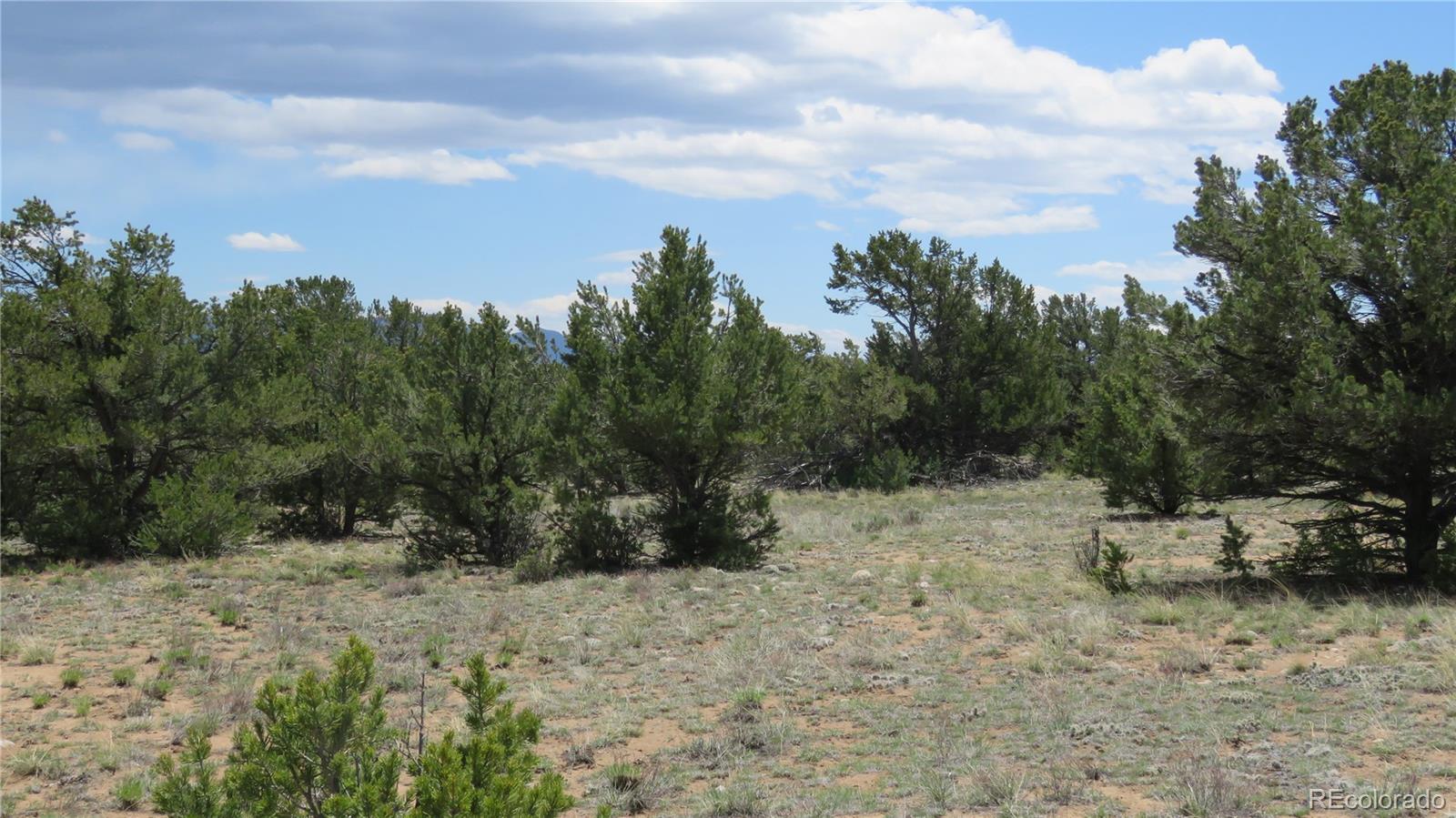 28924 Timber Ridge Buena Vista CO 81211