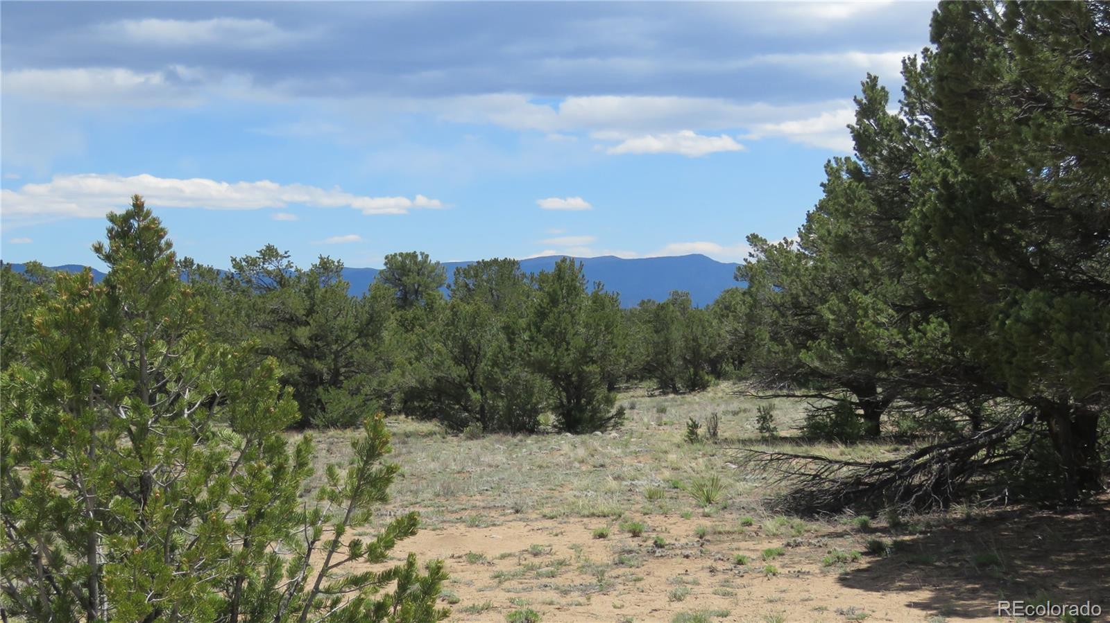 28924 Timber Ridge Buena Vista CO 81211