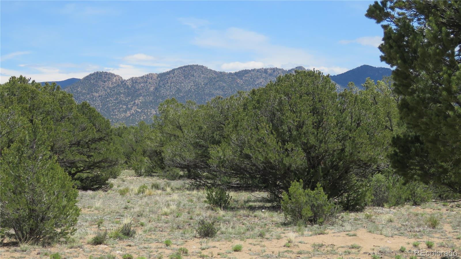 28924 Timber Ridge Buena Vista CO 81211