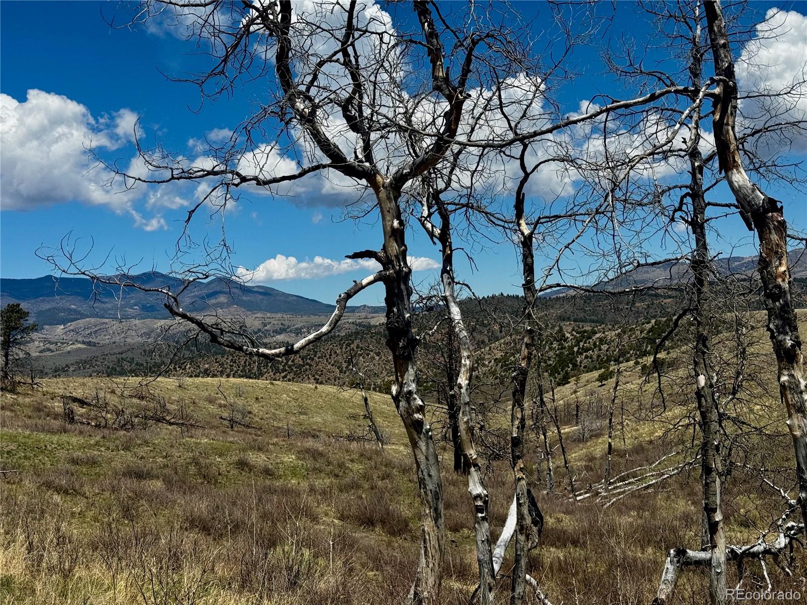 Lot 7712 Hallstein Road Fort Garland CO 81133