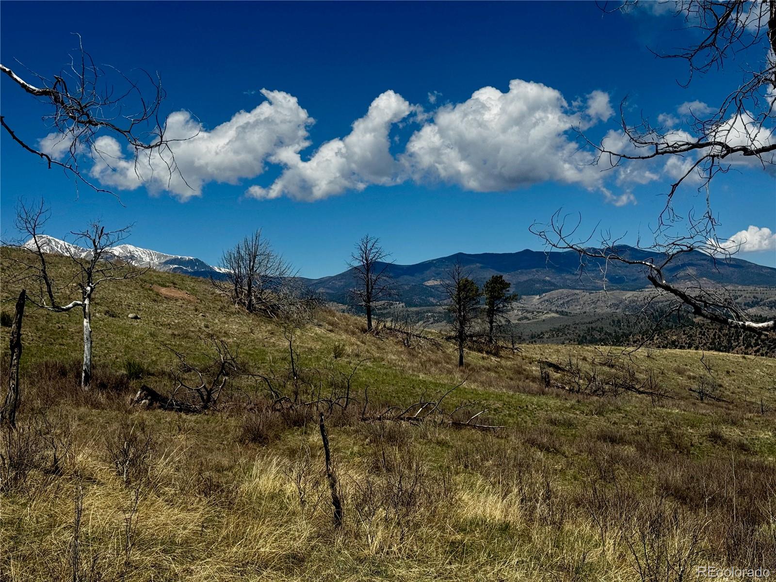 Lot 7712 Hallstein Road Fort Garland CO 81133