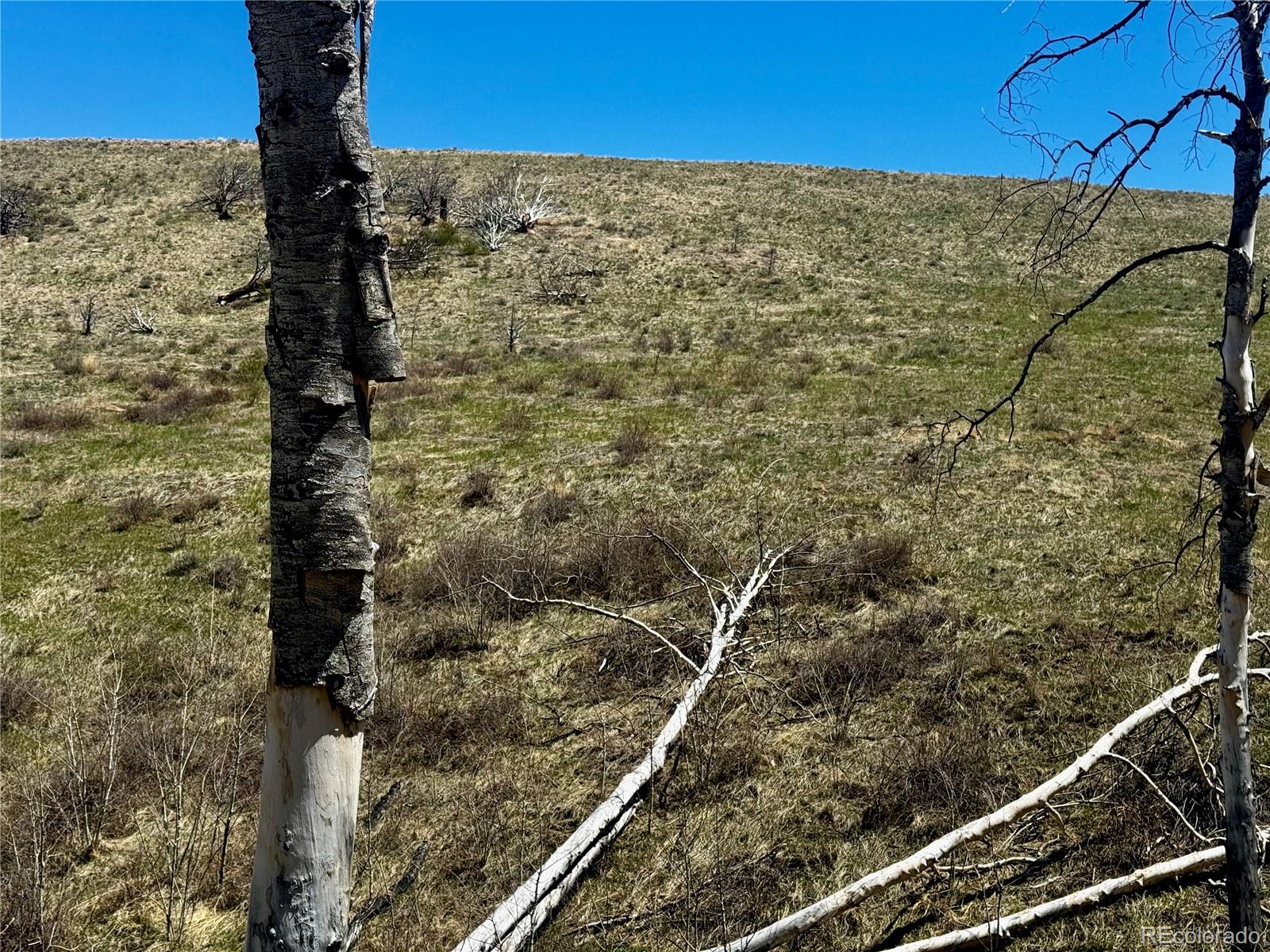 Lot 7712 Hallstein Road Fort Garland CO 81133